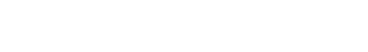 Pioneer Fund